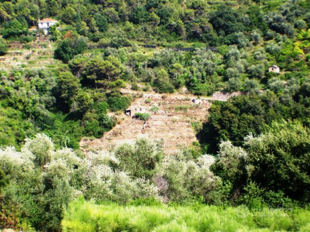 TER. AGRICOLO A VALLEBONA