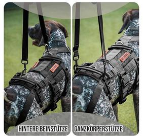 pettorina / supporto e riabilitazione