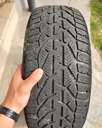 Gomme invernali RIKEN  205/55 R16 