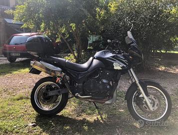 Triumph tiger