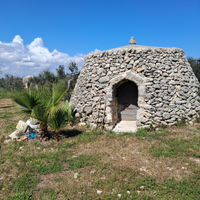 Terreno agricolo