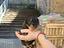 Immagine 2