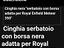 Immagine 6