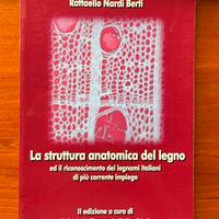 La struttura anatomica del legno Nardi Berti