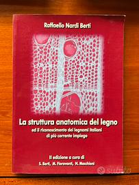 La struttura anatomica del legno Nardi Berti