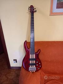 Basso CORT A5 PLUS