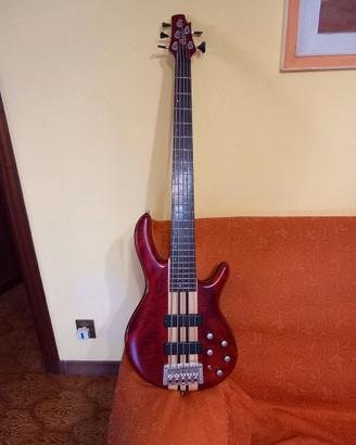 Basso CORT A5 PLUS