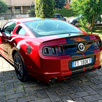 Mustang 3.7. v6. - 11 / 2014