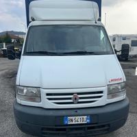 521 mascotte renault del 2000 in saldo