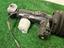 Immagine 8