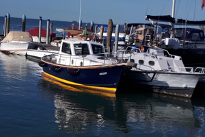 Sciallino 25 anno 1990