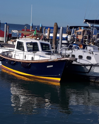 Sciallino 25 anno 1990