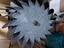 Immagine 4