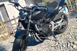 Honda hornet 600