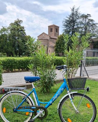 Bicicletta  da ragazza/donna