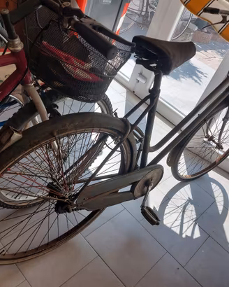 bici da 26 holland economica e funzionante 