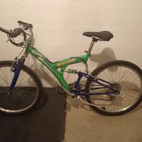 Bici, mountain bike, mtb KAYAK CAD4