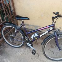 mountan bike da donna