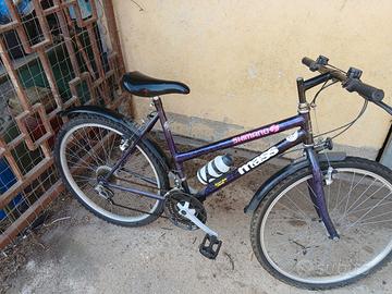 mountan bike da donna