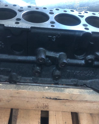 Monoblocco ford escort