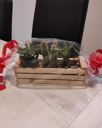 Cassettine in legno