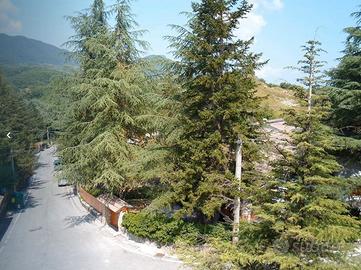Tagliacozzo Montagna