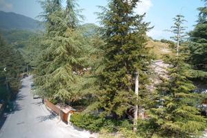 Tagliacozzo Montagna