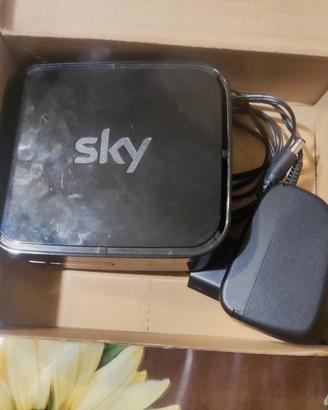 Sky Link