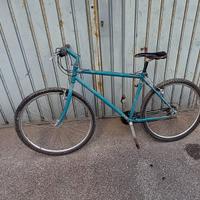 bicicletta con marcia e freni funzionanti