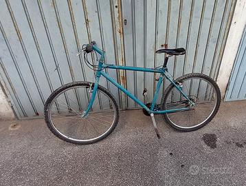 bicicletta con marcia e freni funzionanti