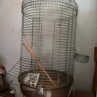 Voliera