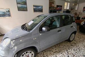 Fiat Panda 1.2 Easy easypower Gpl 69cv my19