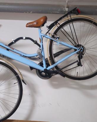 Bicicletta Trakking