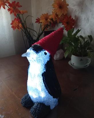 lampada