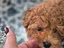 Immagine 5