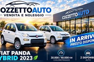 Fiat Panda 1.0 FireFly S&S Hybrid Pandina
