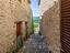 Immagine 13
