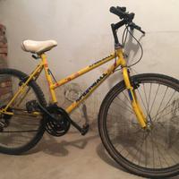 Bicicletta mountain bike