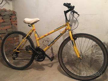 Bicicletta mountain bike