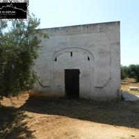 LAMIA con ULIVETO SECOLARE 1ha - OSTUNI