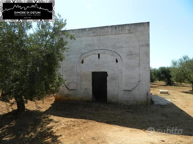 LAMIA con ULIVETO SECOLARE 1ha - OSTUNI