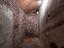 Immagine 29