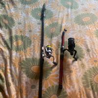 Canne da pesca