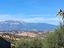 Immagine 13