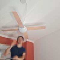 VENTILATORE DA SOFFITTO INSPIRE