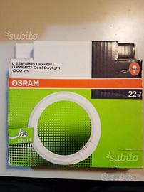 Neon tondo L 22W Osram