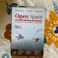 Libro Open space