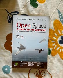 Libro Open space
