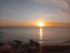 Immagine 7