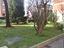 Immagine 24